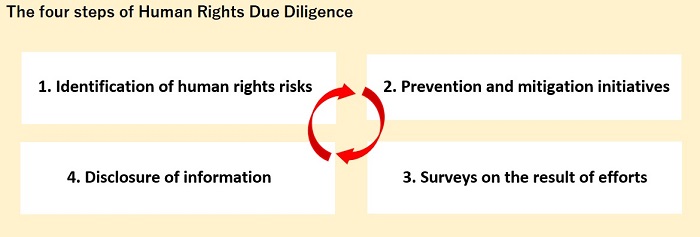 Due Diligence Efforts