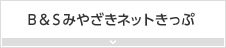 B&Sみやざきネットきっぷ