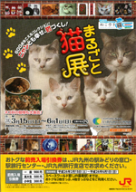 北九州市立いのちのたび博物館「まるごと猫展」