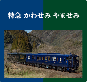 かわせみやませみ