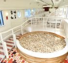 写真:木のプール