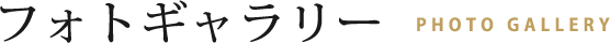 フォトギャラリー