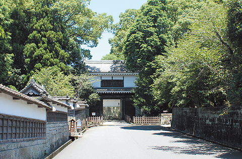 写真：猪八重渓谷