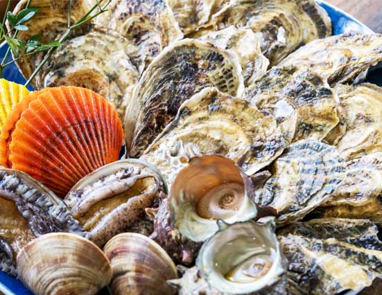 牡蠣冬のご褒美旅 image