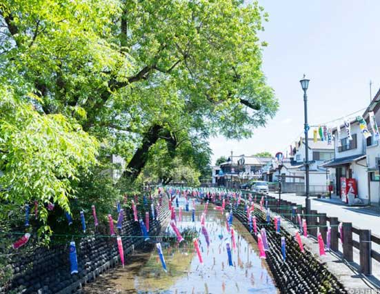 浮羽市街地 image