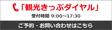 観光きっぷダイヤル