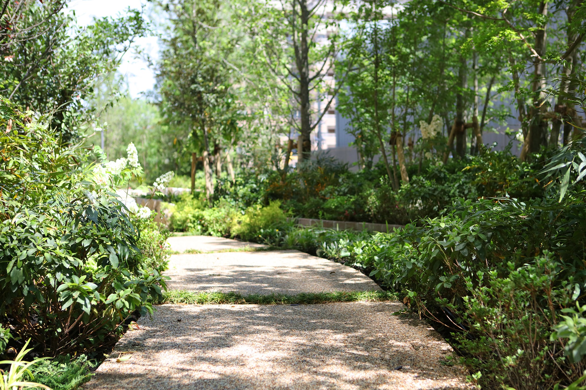「MJRザ・ガーデン鹿児島中央」 ガーデンアベニューの写真