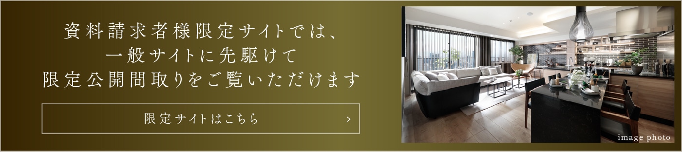 限定サイト