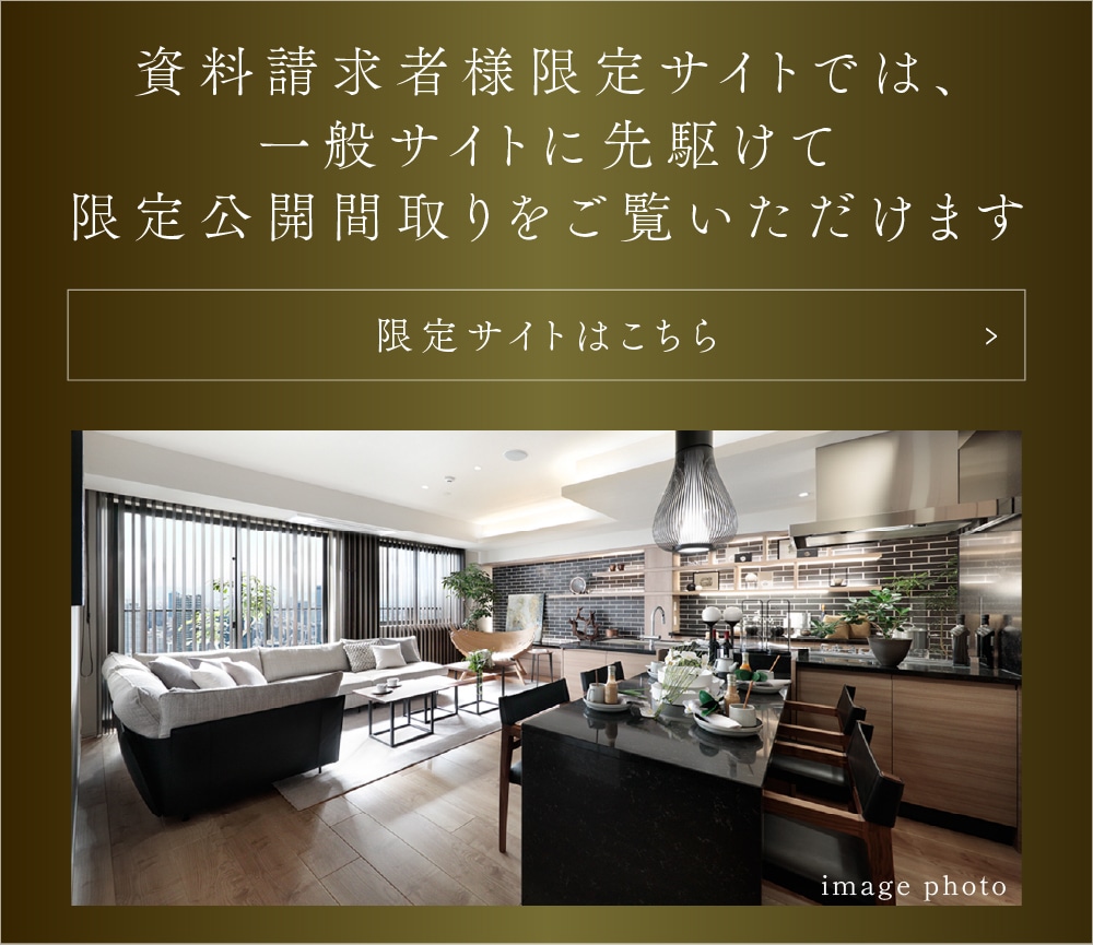 限定サイト