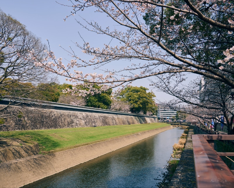 熊本城