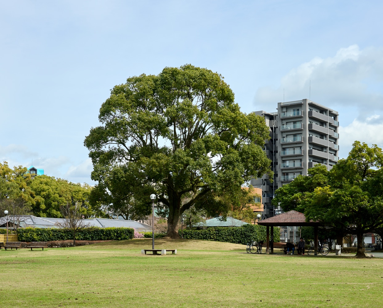 白川公園