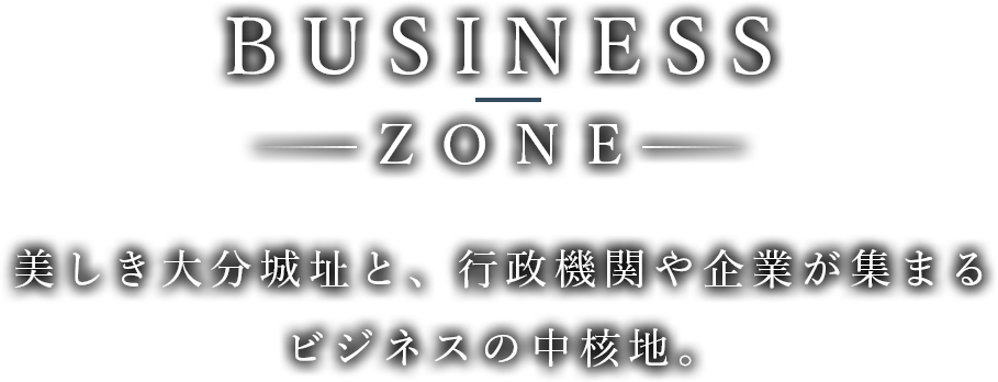 BUSINESS ZONE