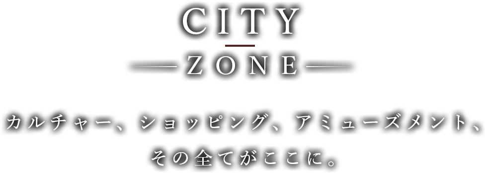 CITY ZONE