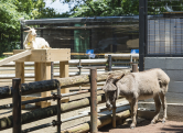 夢見ヶ崎動物公園（徒歩4分／約320m）