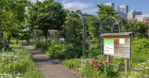 さいわいふるさと公園