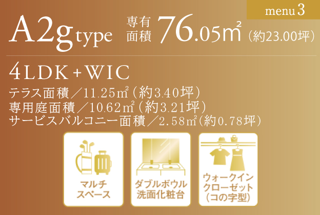 A2g TYPE