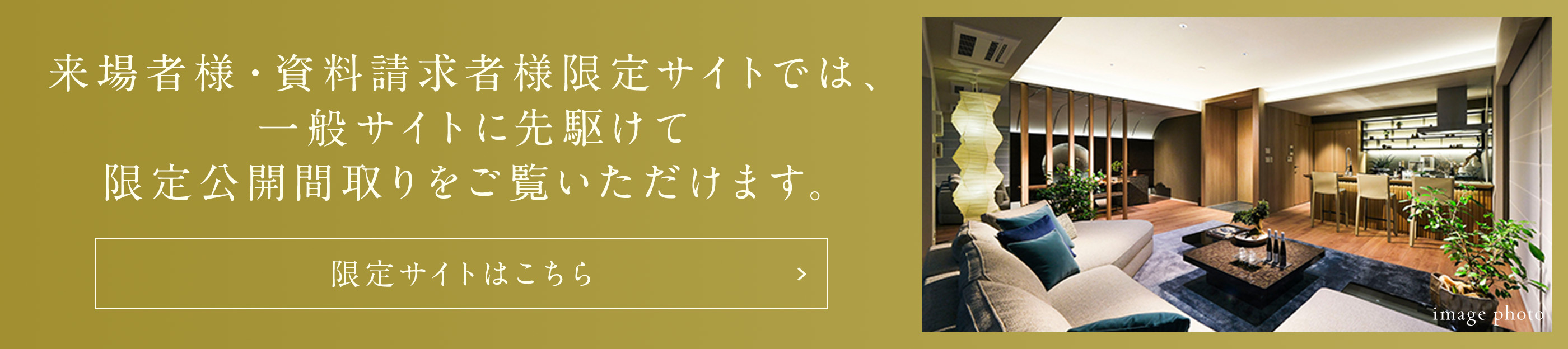 限定サイトはこちら