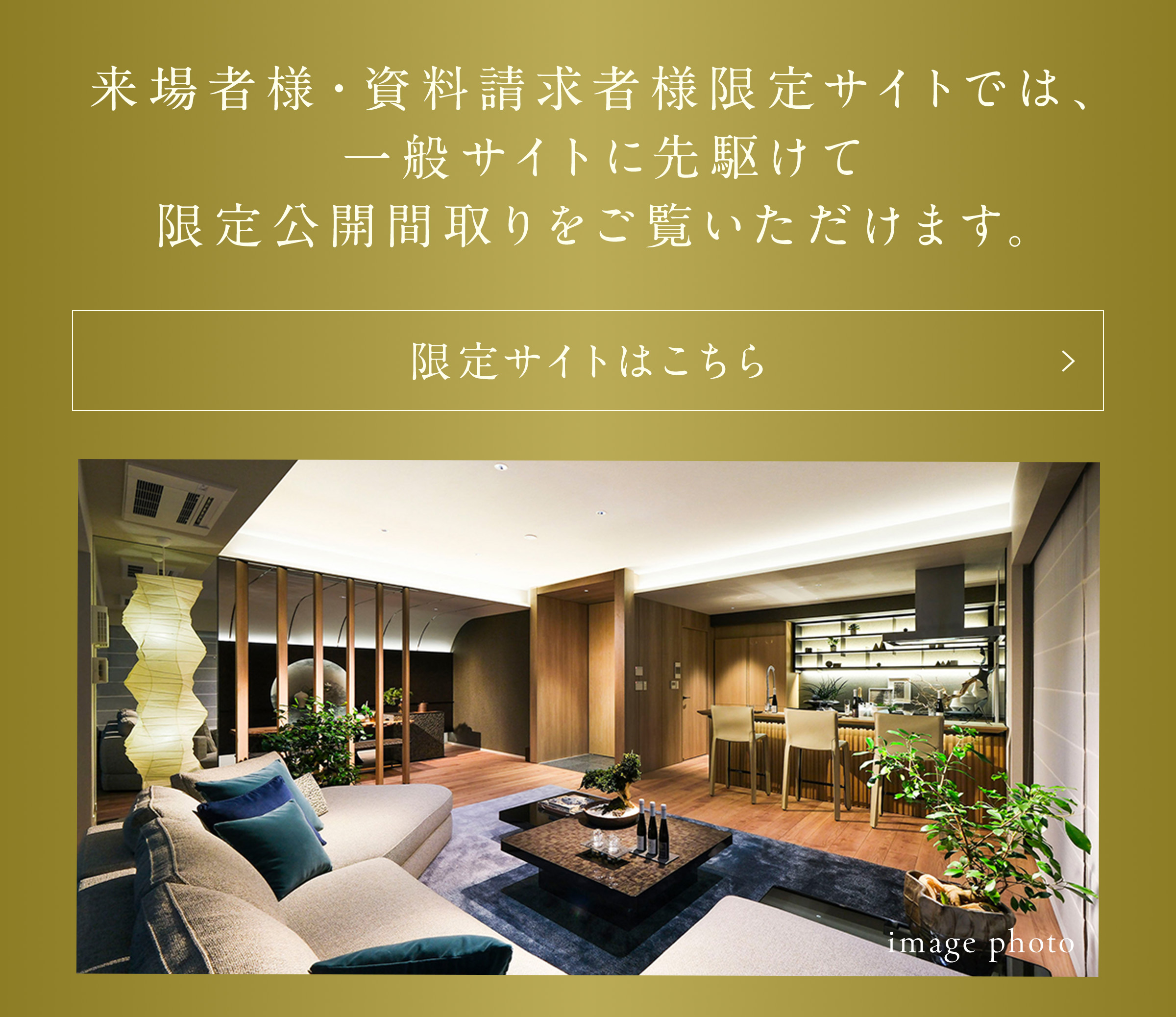 限定サイトはこちら