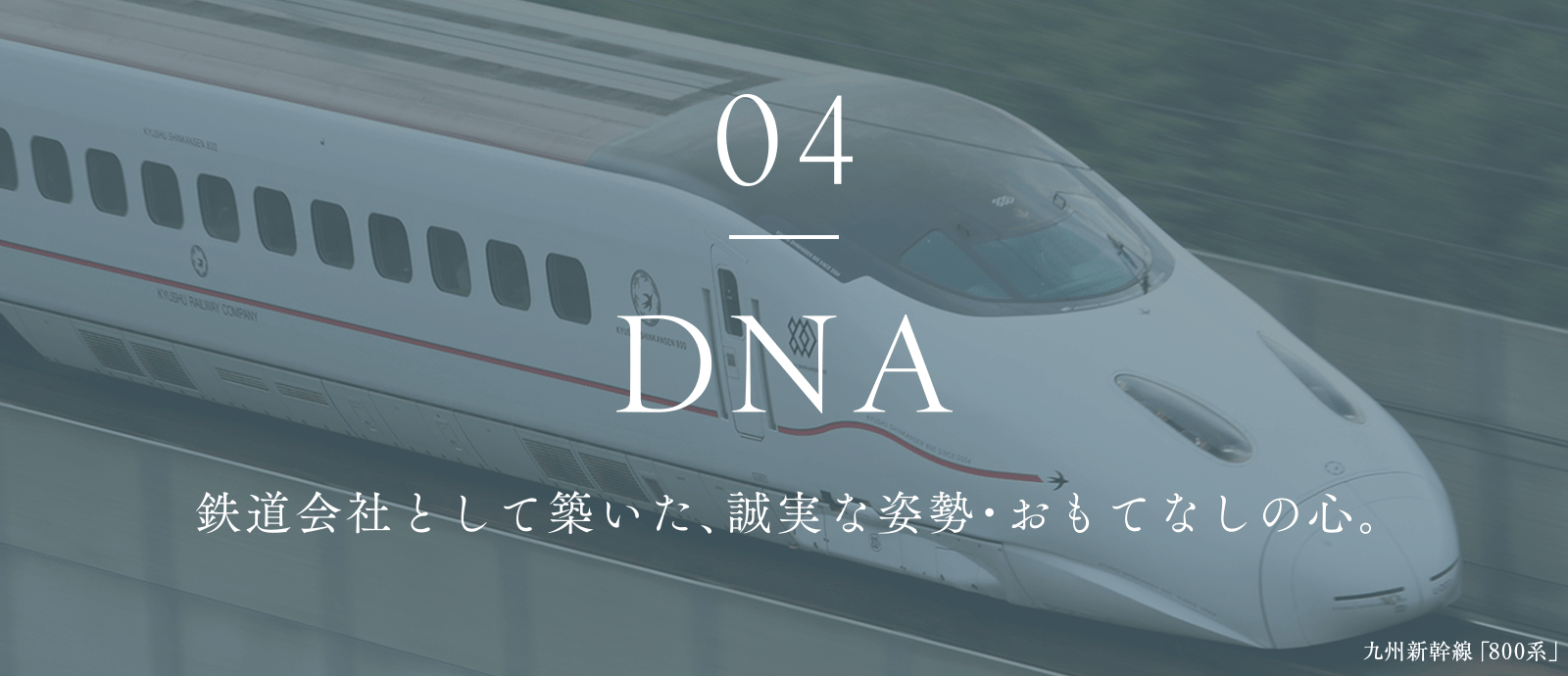 04 DNA