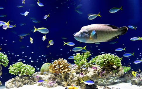 マリンワールド海の中道