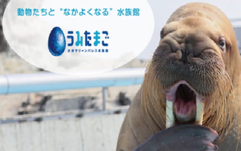 大分マリーンパレス水族館「うみたまご」