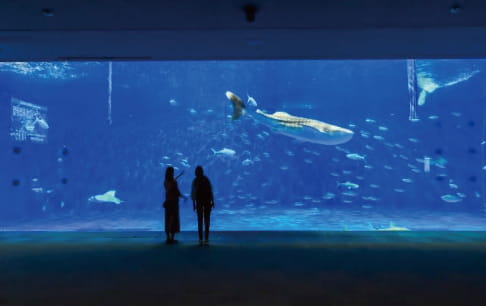 天草パールガーデン＆海中水族館シードーナツ