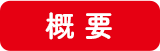 概要