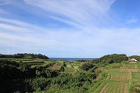 よく晴れた初秋の朝に薩摩半島南端から眺める棚田と海