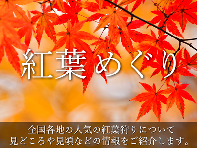 紅葉めぐり旅行特集