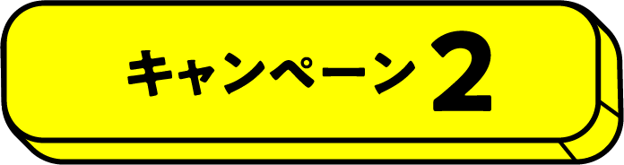 キャンペーン2