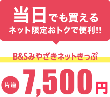 B&Sみやざきネットきっぷ 片道7,130円