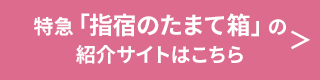 特急指宿のたまて箱