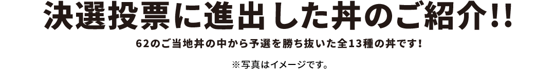 決選投票に進出した丼のご紹介!! 62のご当地丼の中から予選を勝ち抜いた全13種の丼です！ ※写真はイメージです。