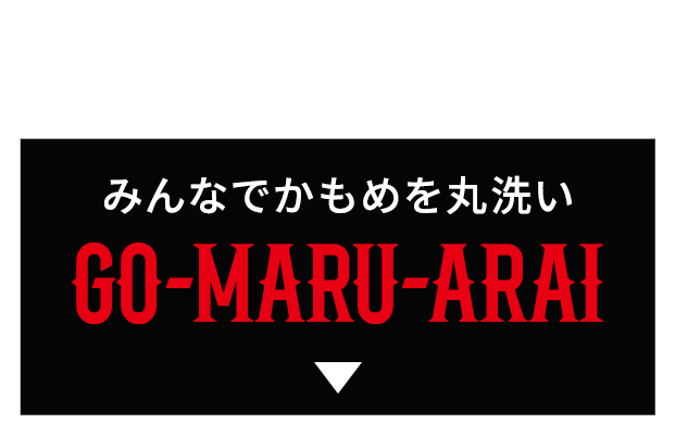 ”みんなでかもめを丸洗い