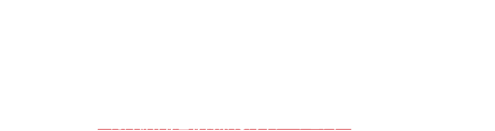 つばめの大冒険