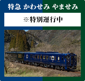 かわせみやませみ