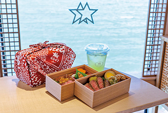 D&S（デザイン＆ストーリー）列車とは？