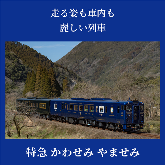 かわせみやませみ