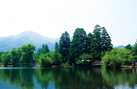 写真：金鱗湖